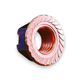 Manifold Black Studs & Egged Copper Nuts For TOYOTA 1JZ 2JZ 1JZGTE 2JZGTE SOARER SUPRA